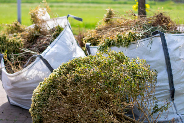 Best Attic Cleanout Services  in Heber Overgaard, AZ